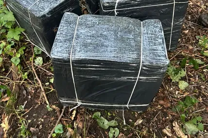 Фото: ДПСУ