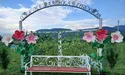 50 відтінків гібіскусів