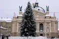 Засніжена ялинка виглядає особливо доречною