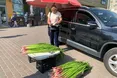 Зелений декор для Зелених свят — 30−50 гривень
