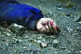 Прокурори зібрали вже 600 доказів свідків звірств окупантів