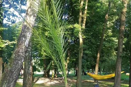 Фото Отара Довженка