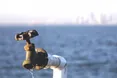 Путін помилився: прісної води під Азовським морем нема