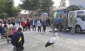 На Хвилину мовчання злетілися лелеки… У птахів перевтілюються душі загиблих воїнів?