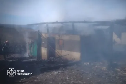 Фото: ДСНС Львівщини
