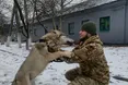 За Україну “друг Да Вінчі” воює із вовчою хваткою
