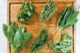 Їстівні трави: користь під ногами