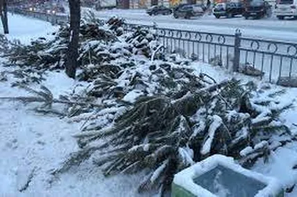 Фото - з мережі