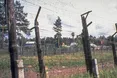 Радіоактивна хмара пройшла над Європою. Росіяни знову кивають на «погоду»?