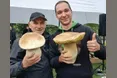 Священник написав гімн карпатським грибам
