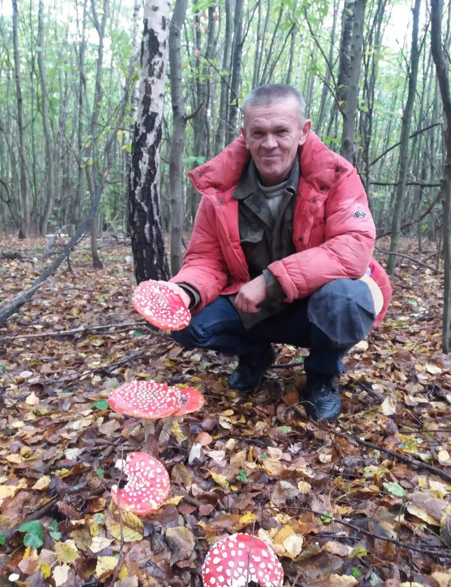 Пан Петро пішов до лісу у червоній куртці – і надибав там сімейку “червоноголовців”. Фото автора