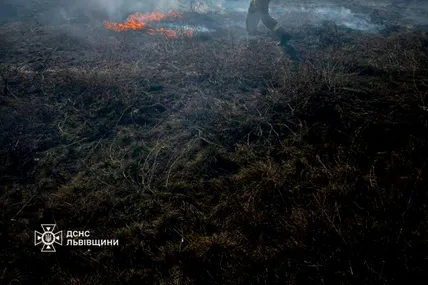 Фото: ДСНС Львівщини