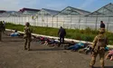 У Яблуневі пахло не ренетами, а… коноплею