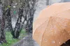 Погода 28 грудня