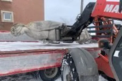 Уламки "троянського коня" швидко завантажили та вивезли. Легше на душі стало. Фото пресслужби Стрийської районної військової адміністрації.