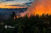 Екологічне лихо на Львівщині: за добу вогонь випалив понад 9 тисяч квадратних метрів землі
