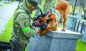 Покинули вороги, а підібрали друзі