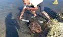 Із калюжі — на чисті води!