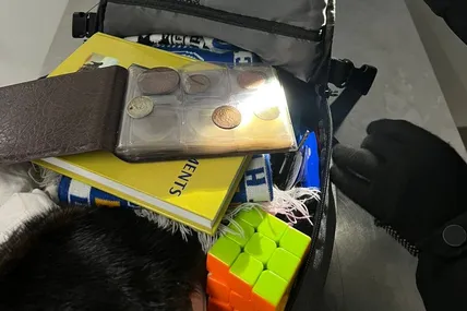 На кордоні з Польщею у 18-річної пасажирки автобуса виявили колекцію старовинних монет та марок