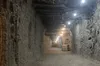 Учені відновили життя мікробів, яким 40 тисяч років