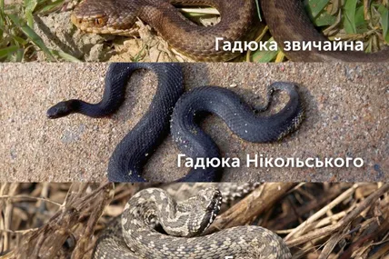 Фото: Центр громадського здоровʼя