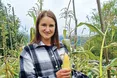 Виростають кукурудза і спельта