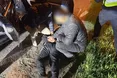 На Львівщині викрили організатора каналу незаконного перетину кордону