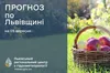 Хмарно та без опадів: прогноз погоди на Львівщині на 5 вересня