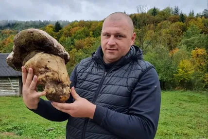 Грибна удача усміхнулася будівельнику Мар'яну Стрипі.