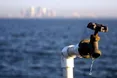 Стовкли воду в ступі…