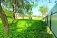 Урятованим тваринам збудують нові оселі