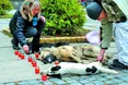 Під мерію Ужгорода принесли мертвих собак