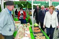 Третій термін для фрау Меркель?