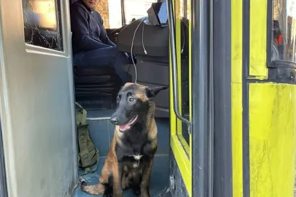 Фото із відкритих джерел