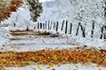 Похолодання і перший сніг: погода 17 листопада