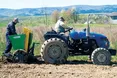 Франкове поле забезпечить воїнів картоплею