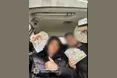 Шахрайство на 13 мільйонів гривень: поліція викрила організовану групу, яка ошукала банки