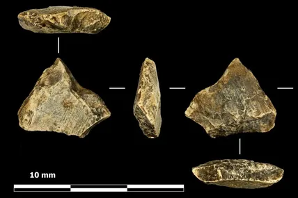 Фото International Journal of Osteoarchaeology