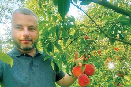 Персики вимагають старанного догляду