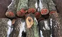 «Як тільки продавці дізнавалися, що дрова треба везти до Львова, одразу відмовлялися їхати…»