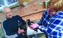 Мають чорне м’ясо і несуть зелені яйця