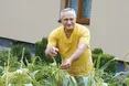 Усі овочі до столу вирощують самі