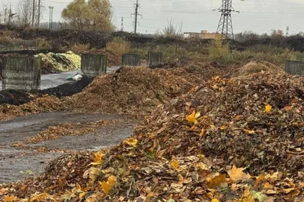 У Львові міська станція компостування прийняла вже 921 тонну листя