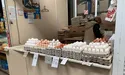 Осінній продуктовий кошик: яйце — 5 гривень 80 копійок, кілограм баклажанів — 90 гривень…