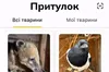 «Домівка врятованих тварин» створила «кишеньковий притулок»