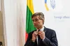 Атака по Україні 27 грудня: Литва різко засудила дії росії