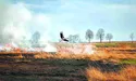 Вороги України нищать вогнем її багатство і красу