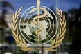 ВООЗ заявила про закінчення надзвичайної загрози через вірус Зіка