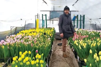 Світлана Канівець старанно доглядає свої квіти. Фото з архіву Світлани Канівець.