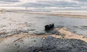 Екоцид в Чорному морі - наслідок російської воєнної агресії